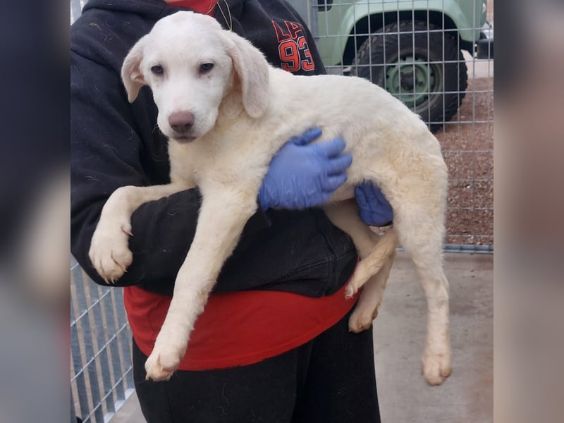 Biba: so klein und so allein