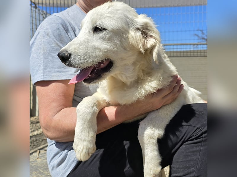 Betty: wird mein Leben bunt und schön?