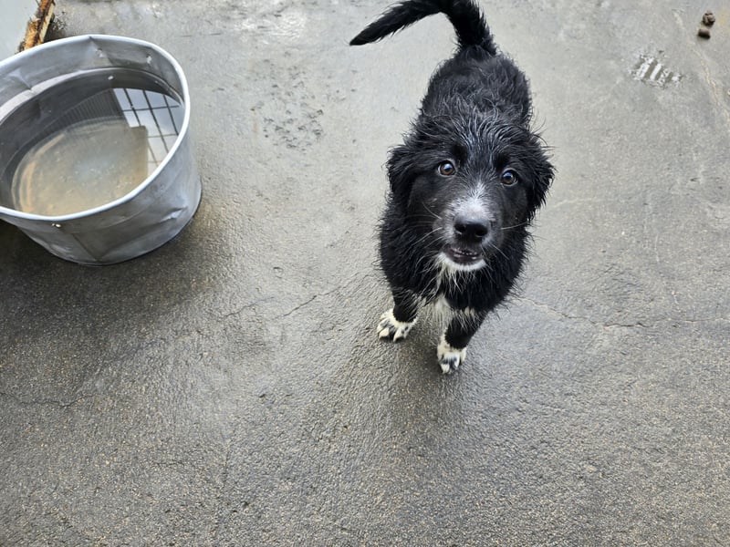 Pumba: Spaß und gute Laune garantiert