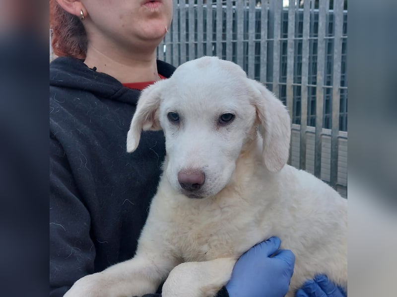 Biba: so klein und so allein