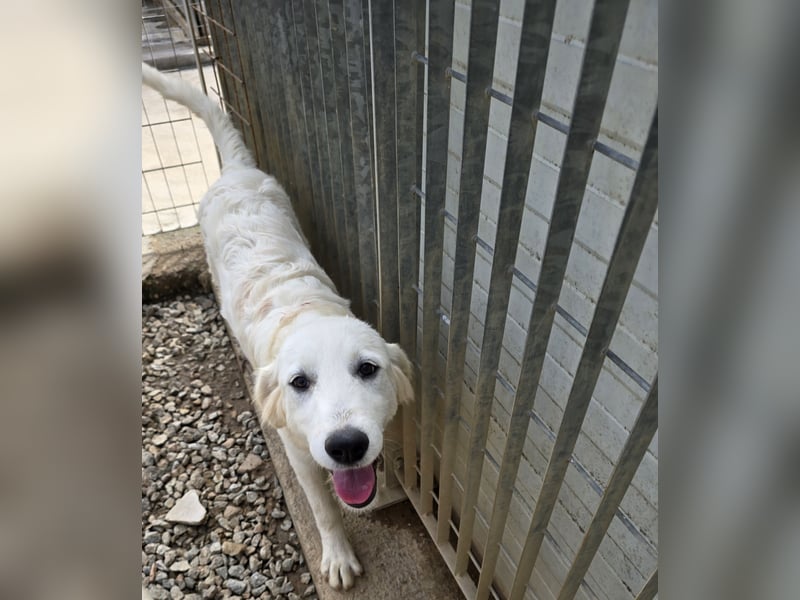 Betty: wird mein Leben bunt und schön?