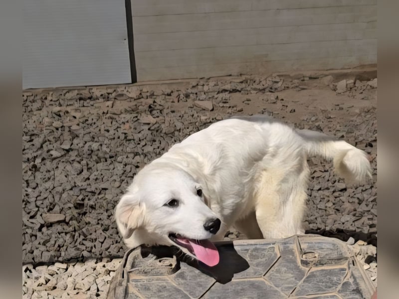 Betty: wird mein Leben bunt und schön?