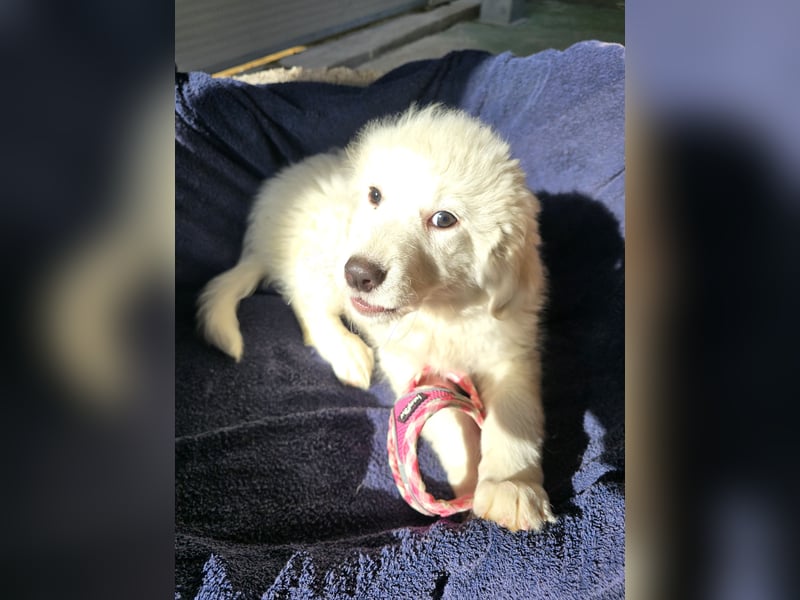 Silvestrino: mit Schwung ins neue Jahr