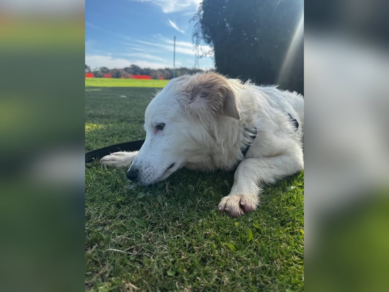 Tom: verliebt in alle Menschen