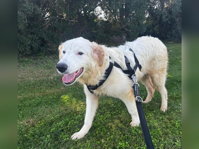 Tom: verliebt in alle Menschen