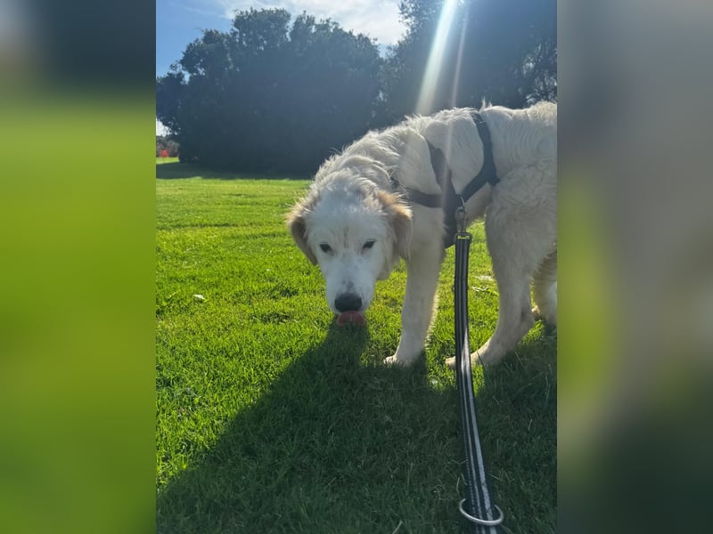 Tom: verliebt in alle Menschen