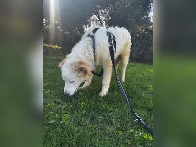 Tom: verliebt in alle Menschen