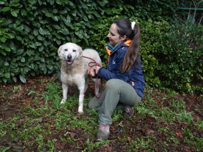 Generosa - Ein Adler bleibt ein Adler...