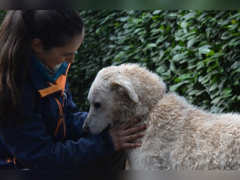 Generosa - Ein Adler bleibt ein Adler...
