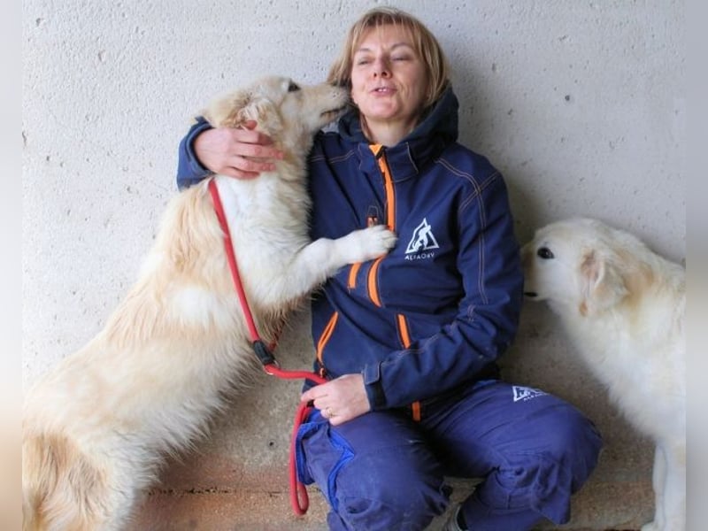 Ricoardo - Kleiner Hund ganz groß