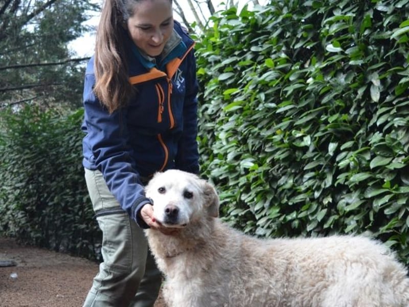 Generosa - Ein Adler bleibt ein Adler...