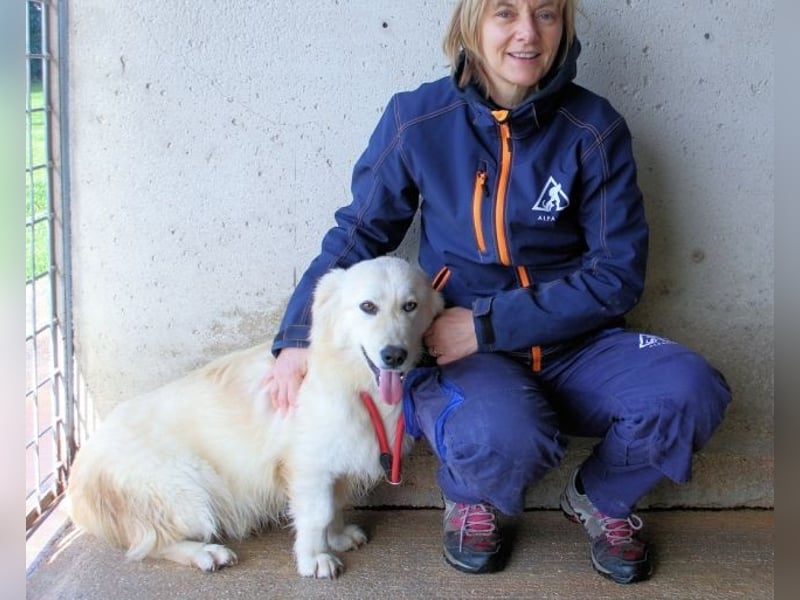 Ricoardo - Kleiner Hund ganz groß