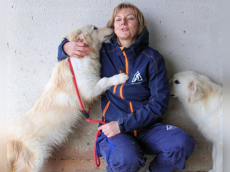 Ricoardo - Kleiner Hund ganz groß