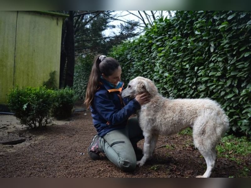 Generosa - Ein Adler bleibt ein Adler...