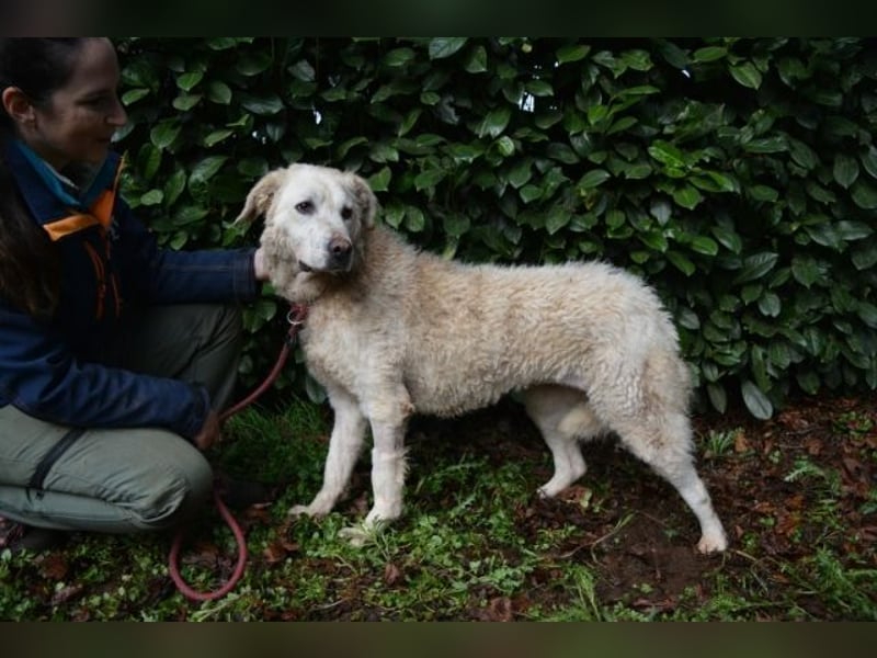 Generosa - Ein Adler bleibt ein Adler...