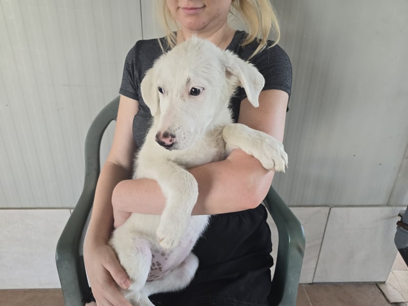 Fiametta: kleine Prinzessin