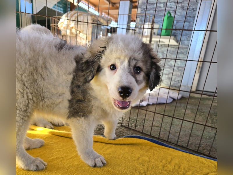 Balma: unschuldig hinter Gittern