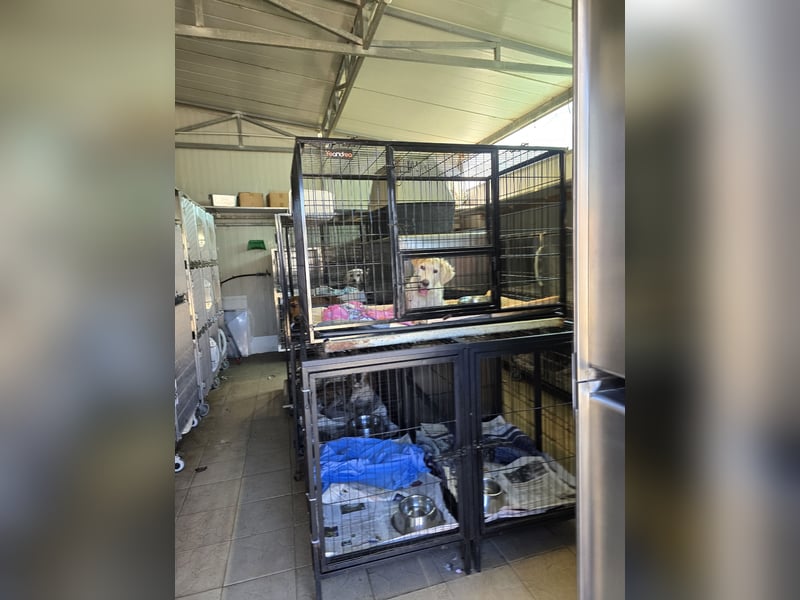 Sebastian: kleiner Schelm freut sich aufs Leben