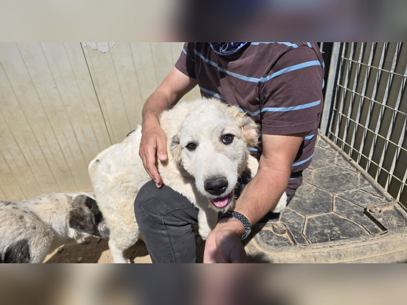 Balma: ein Sonnenschein ohne Gleichen