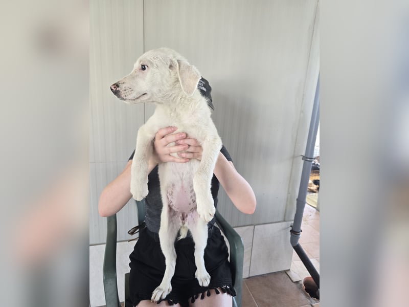 Fiametta: kleine Prinzessin