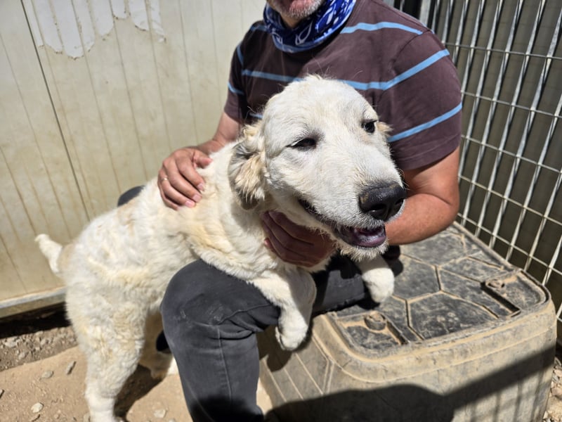 Balma: ein Sonnenschein ohne Gleichen