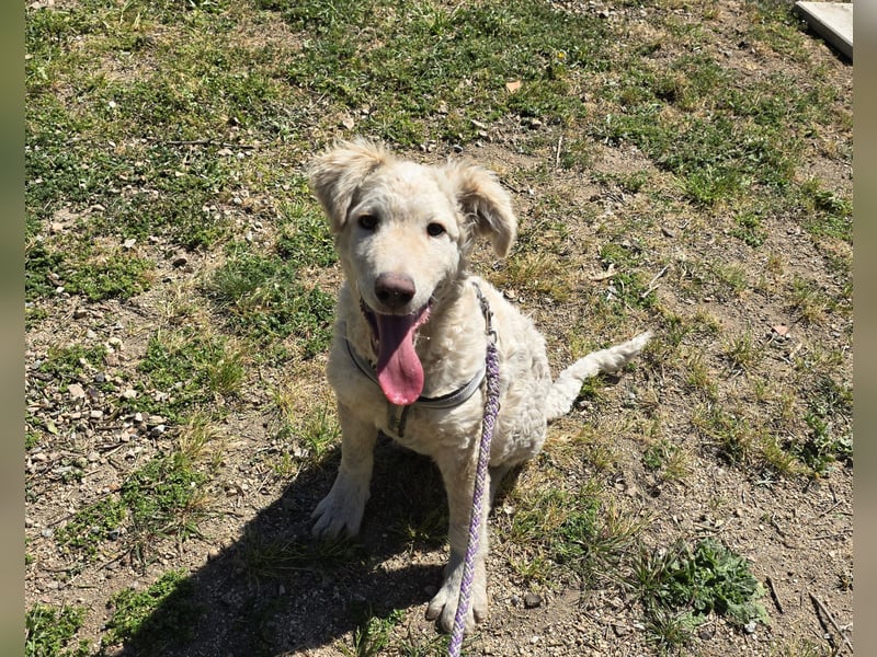 Sebastian: kleiner Schelm freut sich aufs Leben