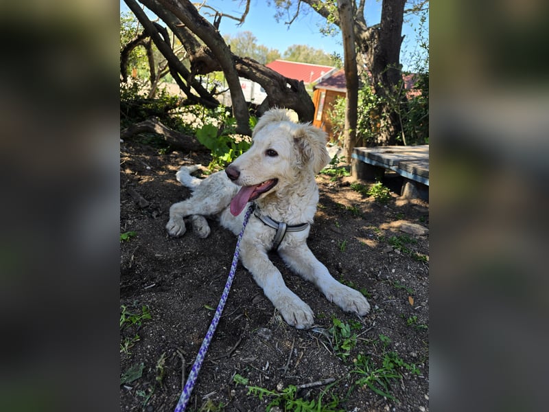 Sebastian: kleiner Schelm freut sich aufs Leben