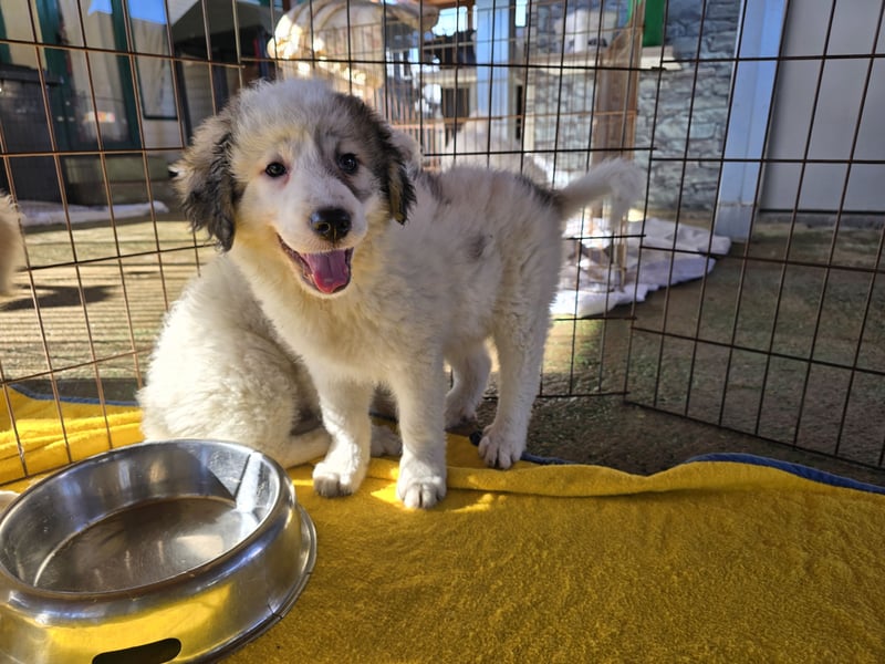 Balma: unschuldig hinter Gitter