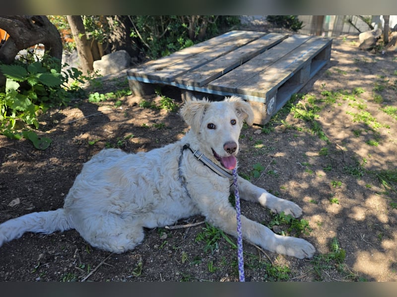 Sebastian: kleiner Schelm freut sich aufs Leben