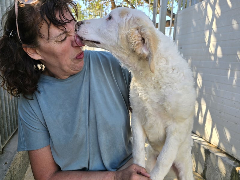 Bubo: so klein und so allein