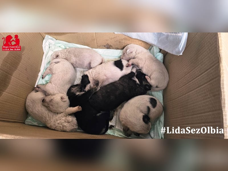 Clarissa: von der Flasche ins Tierheim