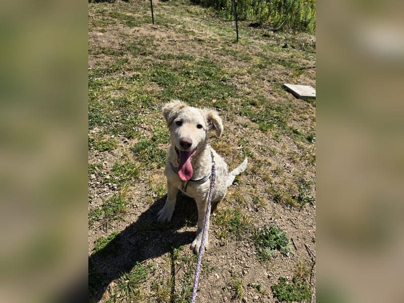 Sebastian: kleiner Schelm freut sich aufs Leben