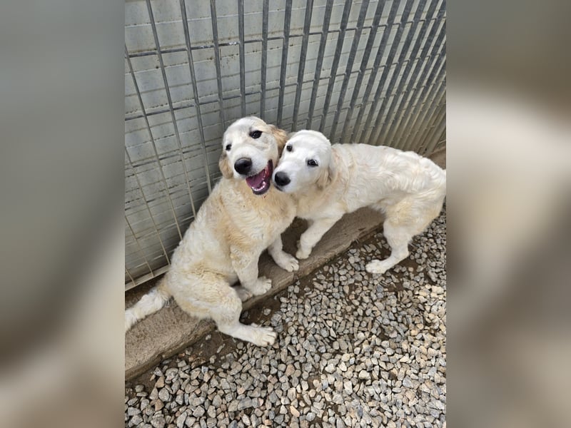 Balma: ein Sonnenschein ohne Gleichen