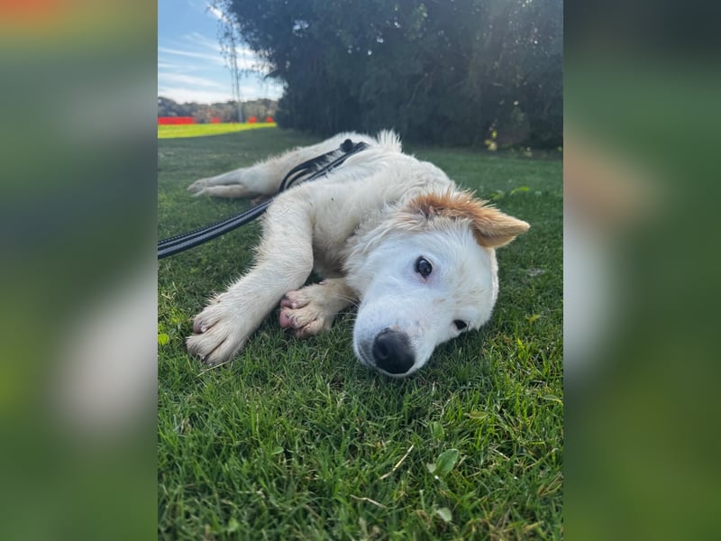 Tom: verliebt in alle Menschen