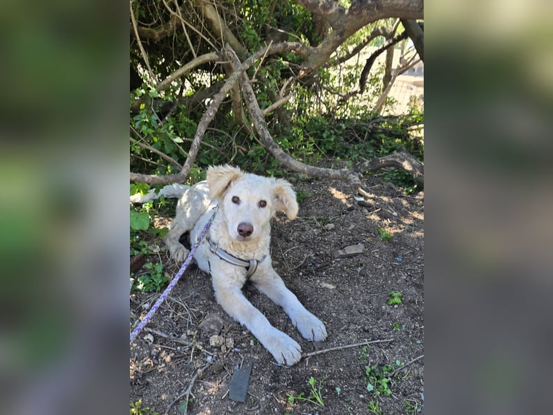 Sebastian: kleiner Schelm freut sich aufs Leben