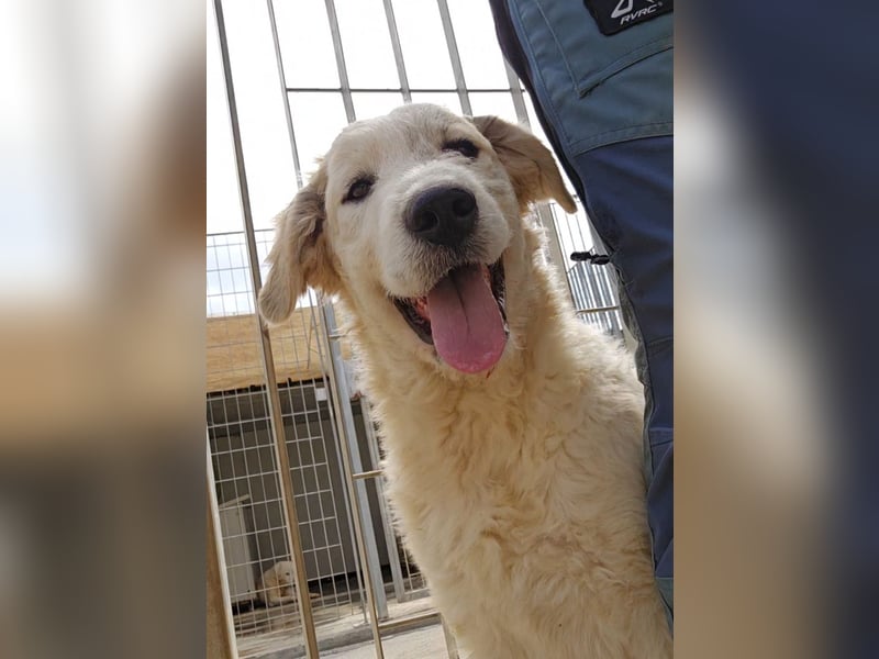 Balma: ein Sonnenschein ohne Gleichen