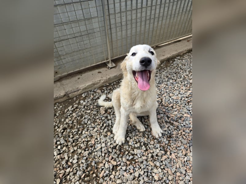 Balma: ein Sonnenschein ohne Gleichen