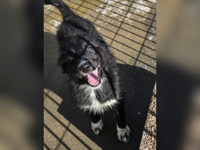 Pumba: Spaß und gute Laune garantiert