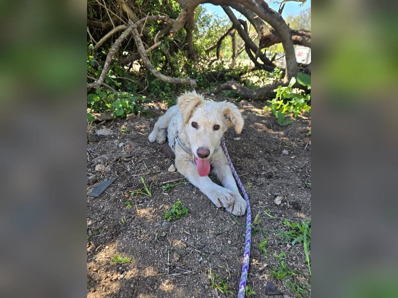 Sebastian: kleiner Schelm freut sich aufs Leben