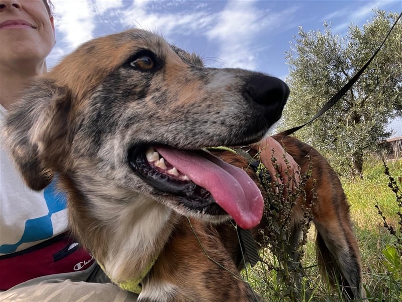 Stella – wo ist ihre Familie?