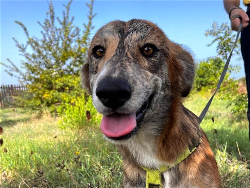 Stella – wo ist ihre Familie?