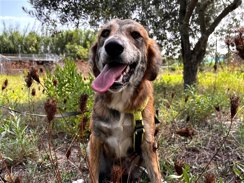 Stella – wo ist ihre Familie?