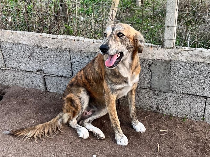 Stella – wo ist ihre Familie?