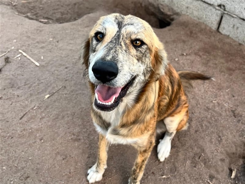 Stella – wo ist ihre Familie?