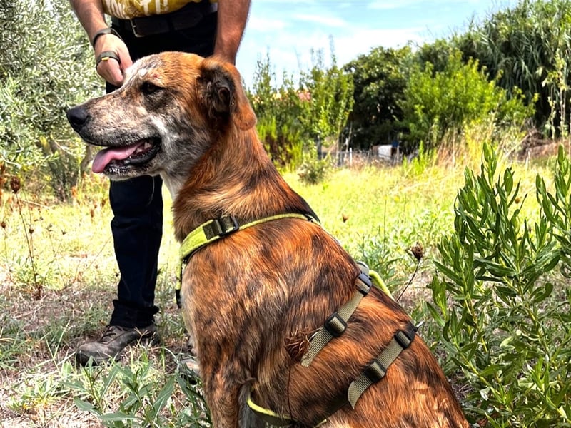 Stella – wo ist ihre Familie?