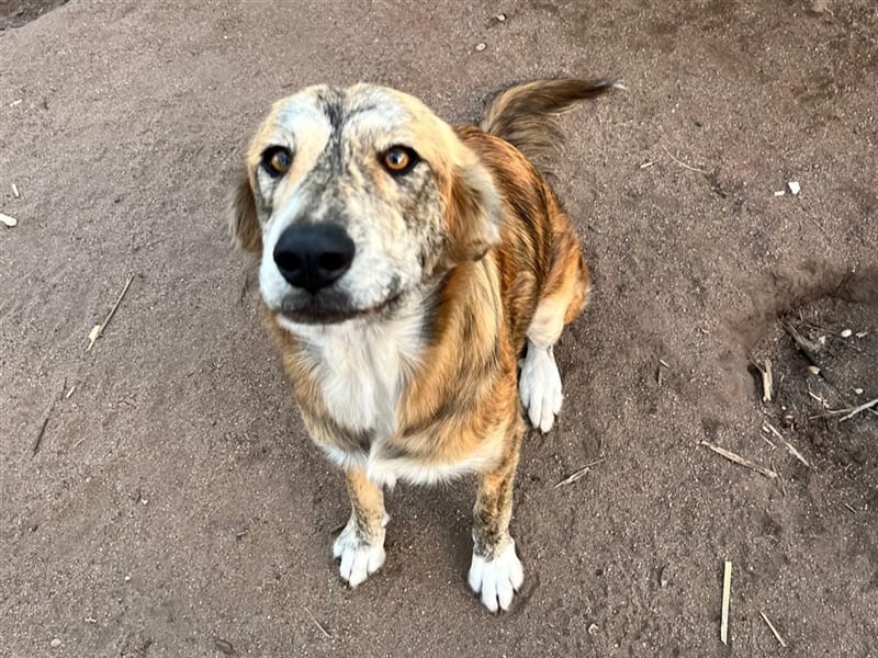 Stella – wo ist ihre Familie?