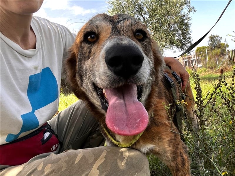 Stella – wo ist ihre Familie?