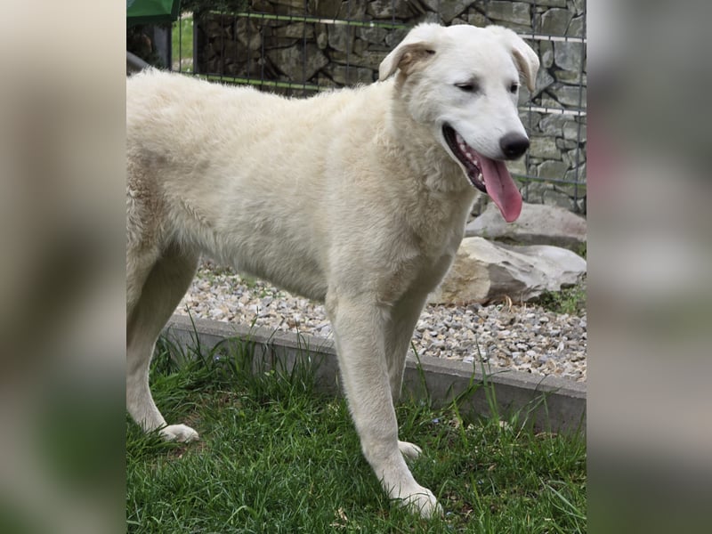 Kate: sucht Familienanschluss