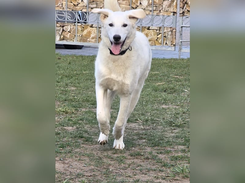 Kate: sucht Familienanschluss