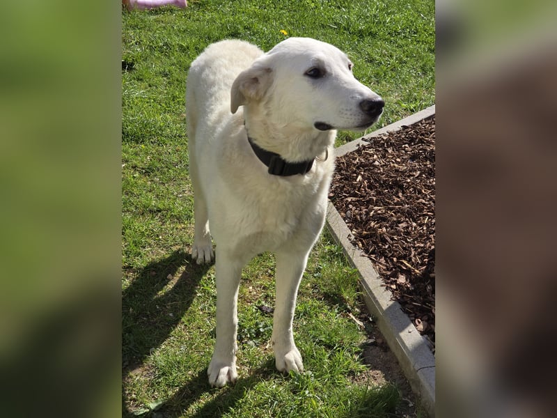 Kate: sucht Familienanschluss